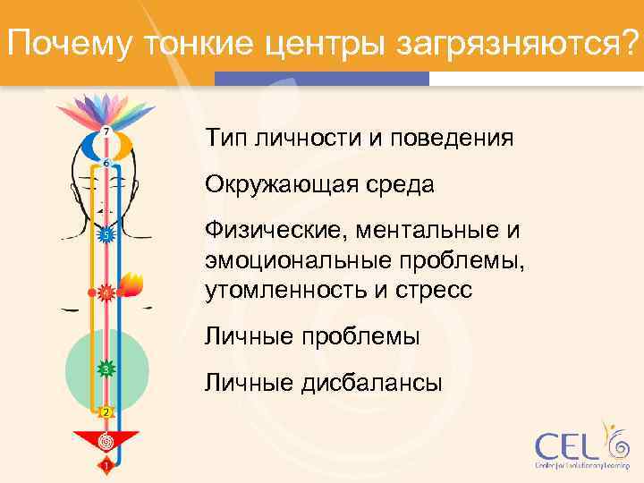 Почему тонкие центры загрязняются? Тип личности и поведения Окружающая среда Физические, ментальные и эмоциональные