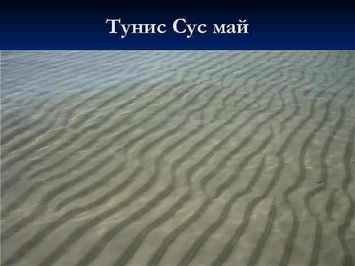 Тунис Сус май 