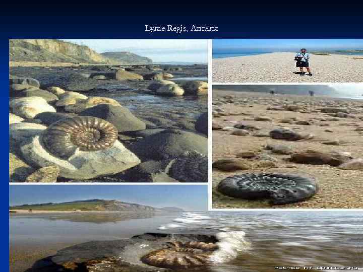 Lyme Regis, Англия 
