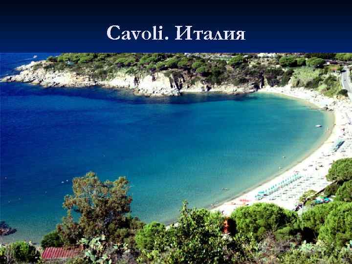 Cavoli. Италия 