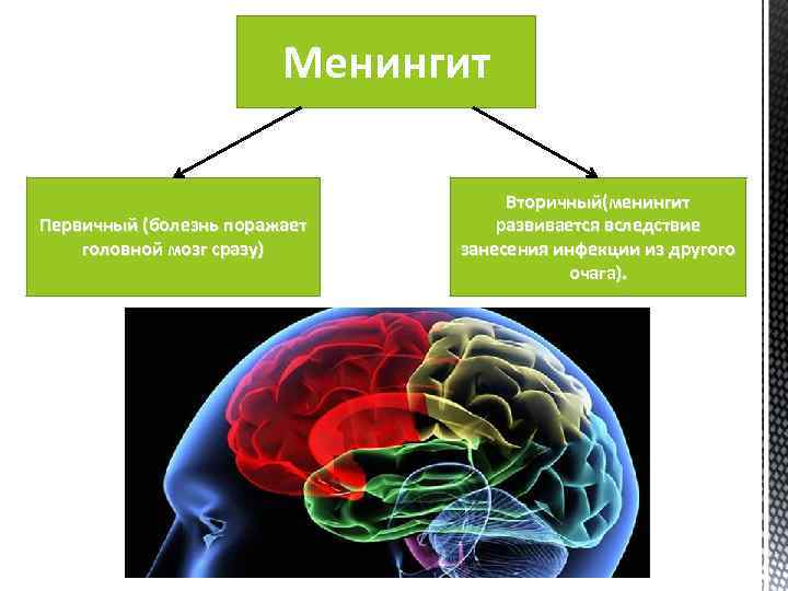 Менингит Первичный (болезнь поражает головной мозг сразу) Вторичный(менингит развивается вследствие занесения инфекции из другого