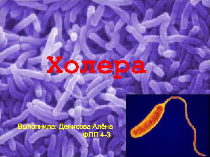 Холера Выполнила: Денисова Алёна ФПП 4 -3 