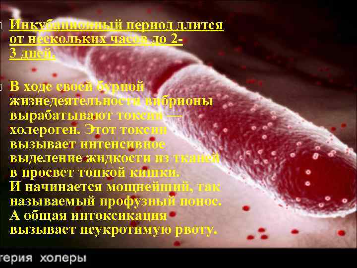  Инкубационный период длится от нескольких часов до 23 дней. В ходе своей бурной