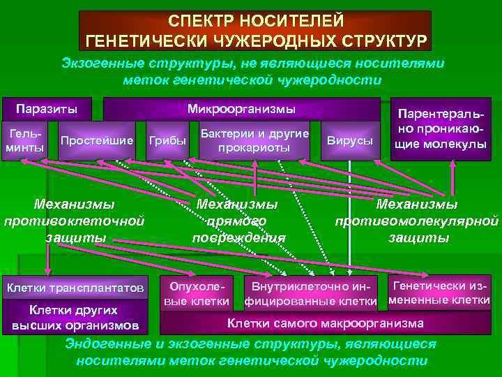 СПЕКТР НОСИТЕЛЕЙ ГЕНЕТИЧЕСКИ ЧУЖЕРОДНЫХ СТРУКТУР Экзогенные структуры, не являющиеся носителями меток генетической чужеродности Паразиты