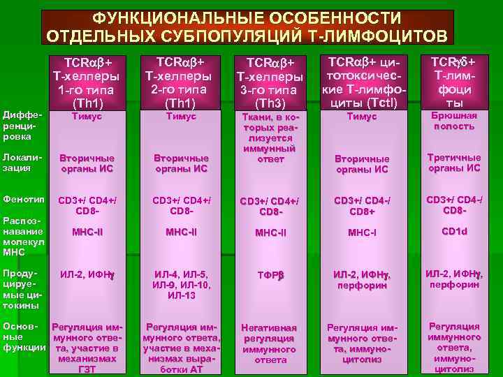 ФУНКЦИОНАЛЬНЫЕ ОСОБЕННОСТИ ОТДЕЛЬНЫХ СУБПОПУЛЯЦИЙ Т-ЛИМФОЦИТОВ Дифференцировка TCR + Т-хелперы 1 -го типа (Th 1)