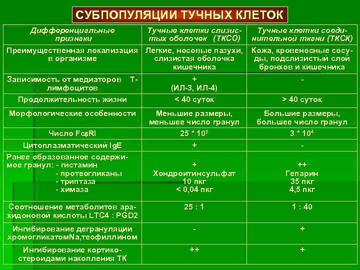 СУБПОПУЛЯЦИИ ТУЧНЫХ КЛЕТОК Дифференциальные Тучные клетки слизис. Тучные клетки соедипризнаки тых оболочек (ТКСО) нительной