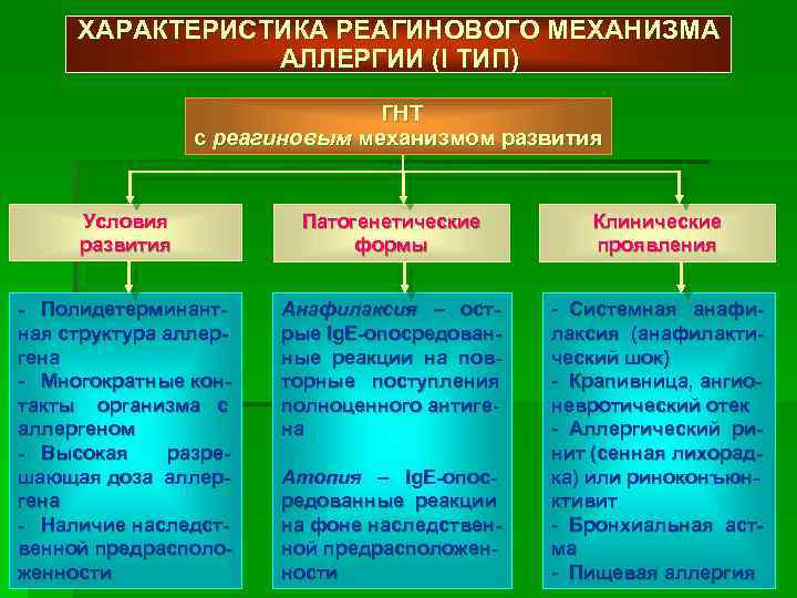 ХАРАКТЕРИСТИКА РЕАГИНОВОГО МЕХАНИЗМА АЛЛЕРГИИ (I ТИП) ГНТ с реагиновым механизмом развития Условия развития Патогенетические