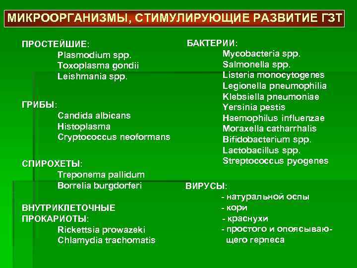 МИКРООРГАНИЗМЫ, СТИМУЛИРУЮЩИЕ РАЗВИТИЕ ГЗТ ПРОСТЕЙШИЕ: Plasmodium spp. Toxoplasma gondii Leishmania spp. ГРИБЫ: Сandida albicans
