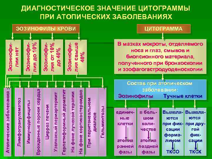 ДИАГНОСТИЧЕСКОЕ ЗНАЧЕНИЕ ЦИТОГРАММЫ ПРИ АТОПИЧЕСКИХ ЗАБОЛЕВАНИЯХ ЦИТОГРАММА В мазках мокроты, отделяемого носа и глаз,