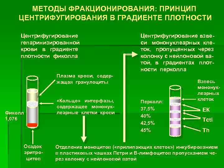 Центрифугирование в градиенте плотности