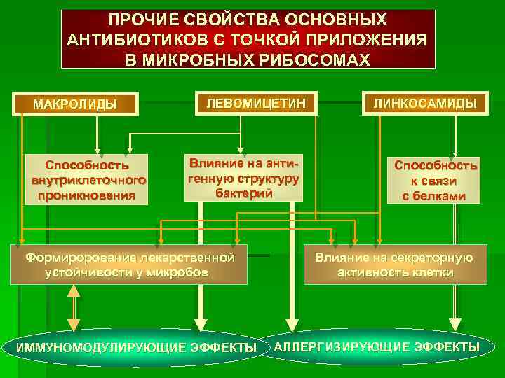 ПРОЧИЕ СВОЙСТВА ОСНОВНЫХ АНТИБИОТИКОВ С ТОЧКОЙ ПРИЛОЖЕНИЯ В МИКРОБНЫХ РИБОСОМАХ МАКРОЛИДЫ Способность внутриклеточного проникновения