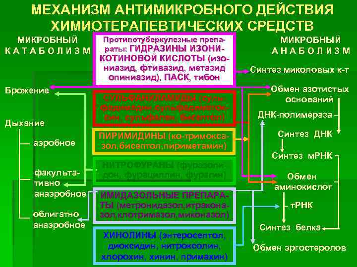 МЕХАНИЗМ АНТИМИКРОБНОГО ДЕЙСТВИЯ ХИМИОТЕРАПЕВТИЧЕСКИХ СРЕДСТВ МИКРОБНЫЙ К А Т А Б О Л И