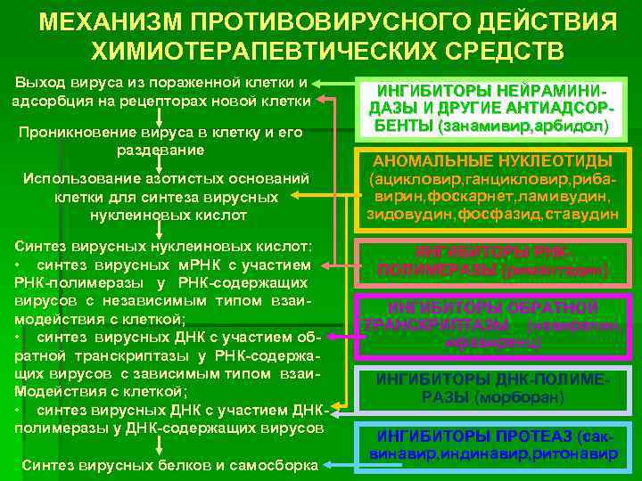 МЕХАНИЗМ ПРОТИВОВИРУСНОГО ДЕЙСТВИЯ ХИМИОТЕРАПЕВТИЧЕСКИХ СРЕДСТВ Выход вируса из пораженной клетки и адсорбция на рецепторах
