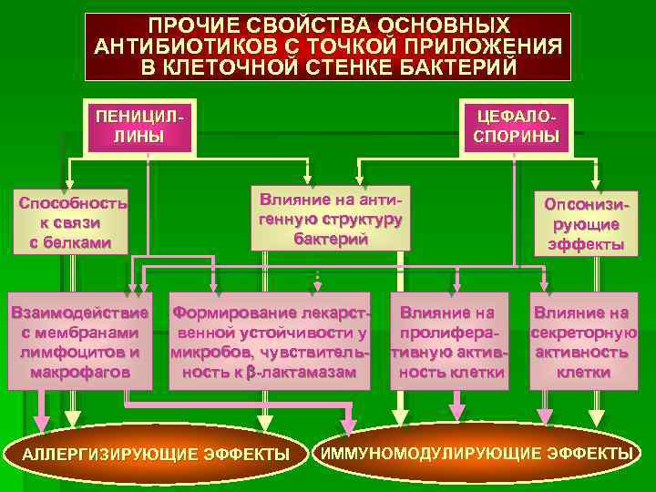 ПРОЧИЕ СВОЙСТВА ОСНОВНЫХ АНТИБИОТИКОВ С ТОЧКОЙ ПРИЛОЖЕНИЯ В КЛЕТОЧНОЙ СТЕНКЕ БАКТЕРИЙ ПЕНИЦИЛЛИНЫ Способность к