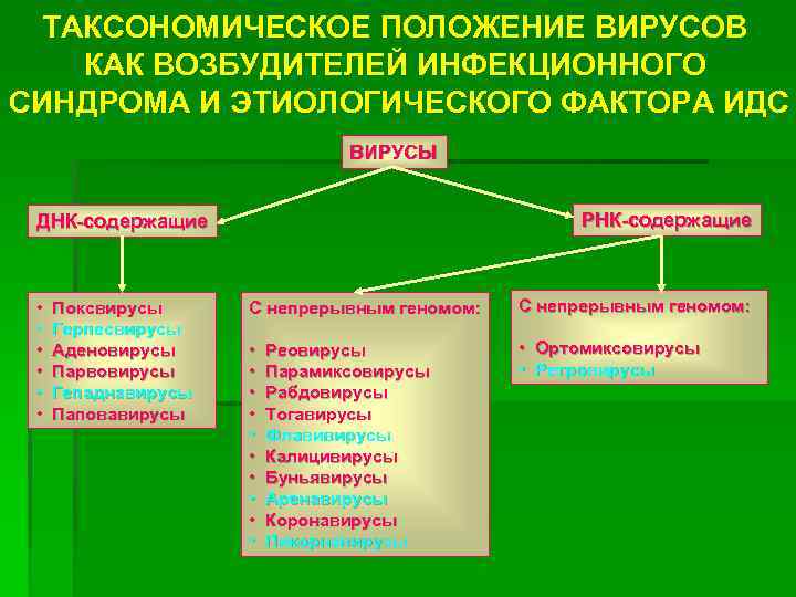 ТАКСОНОМИЧЕСКОЕ ПОЛОЖЕНИЕ ВИРУСОВ КАК ВОЗБУДИТЕЛЕЙ ИНФЕКЦИОННОГО СИНДРОМА И ЭТИОЛОГИЧЕСКОГО ФАКТОРА ИДС ВИРУСЫ РНК-содержащие ДНК-содержащие