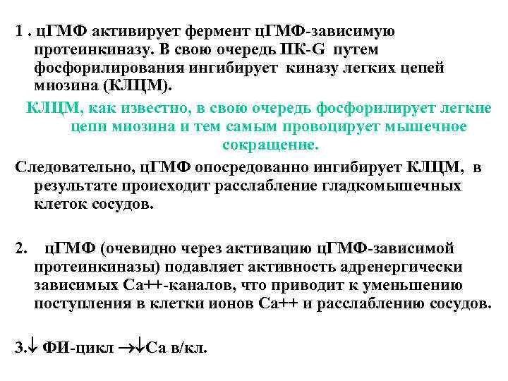 1. ц. ГМФ активирует фермент ц. ГМФ-зависимую протеинкиназу. В свою очередь ПК-G путем фосфорилирования