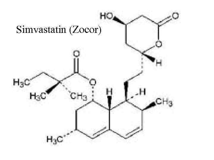 Simvastatin (Zocor) 