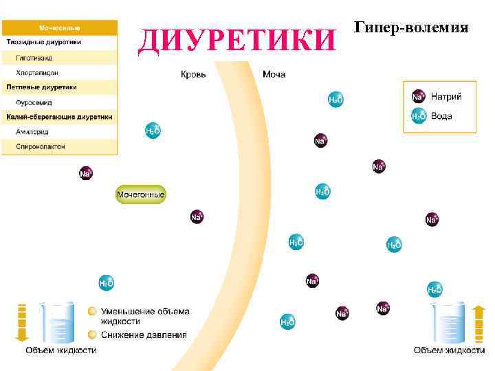 ДИУРЕТИКИ Гипер-волемия 