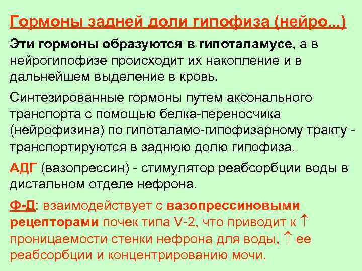 Гормоны задней доли гипофиза (нейро. . . ) Эти гормоны образуются в гипоталамусе, а