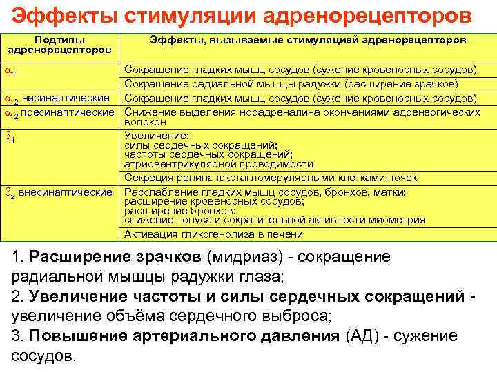 Эффекты стимуляции адренорецепторов Подтипы адренорецепторов Эффекты, вызываемые стимуляцией адренорецепторов 1 Сокращение гладких мышц сосудов