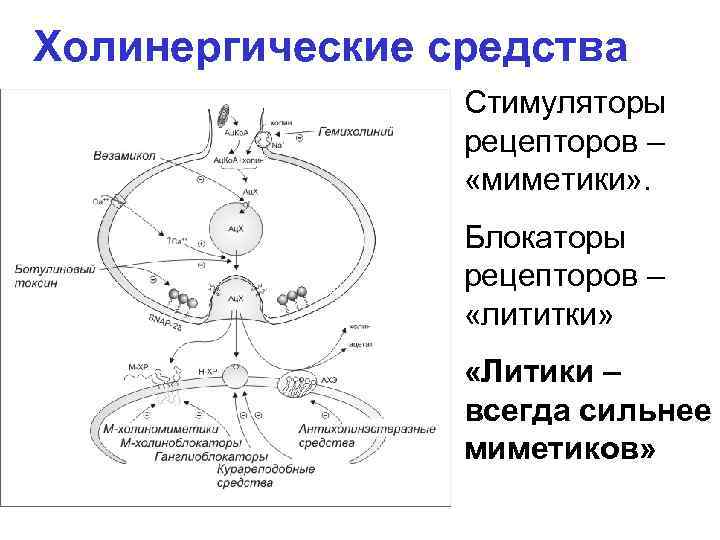 Релатокс схема разведения