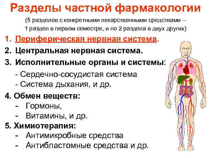 Разделы частной фармакологии (5 разделов с конкретными лекарственными средствами – 1 раздел в первом