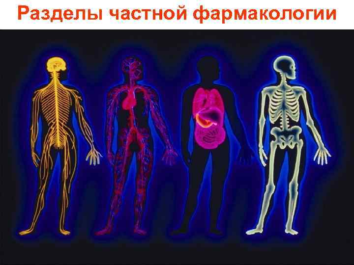 Разделы частной фармакологии 