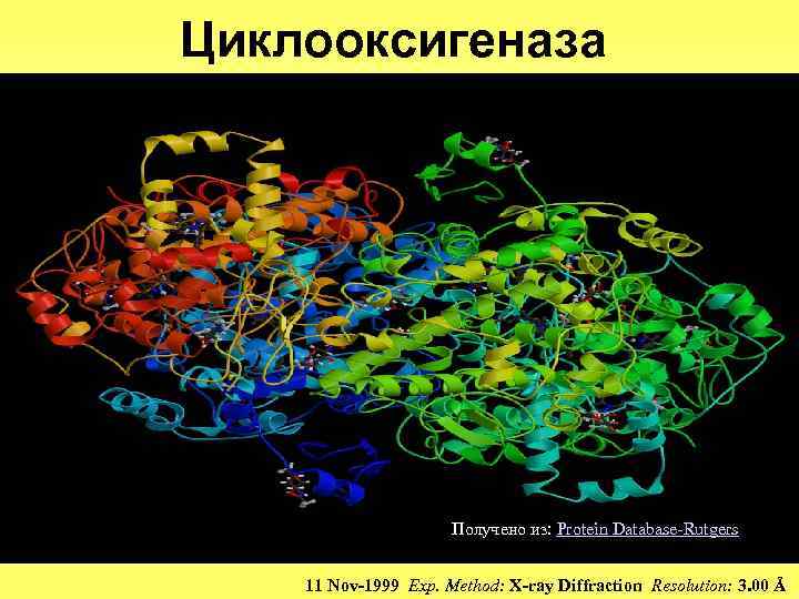 Циклооксигеназа Получено из: Protein Database-Rutgers 11 Nov-1999 Exp. Method: X-ray Diffraction Resolution: 3. 00