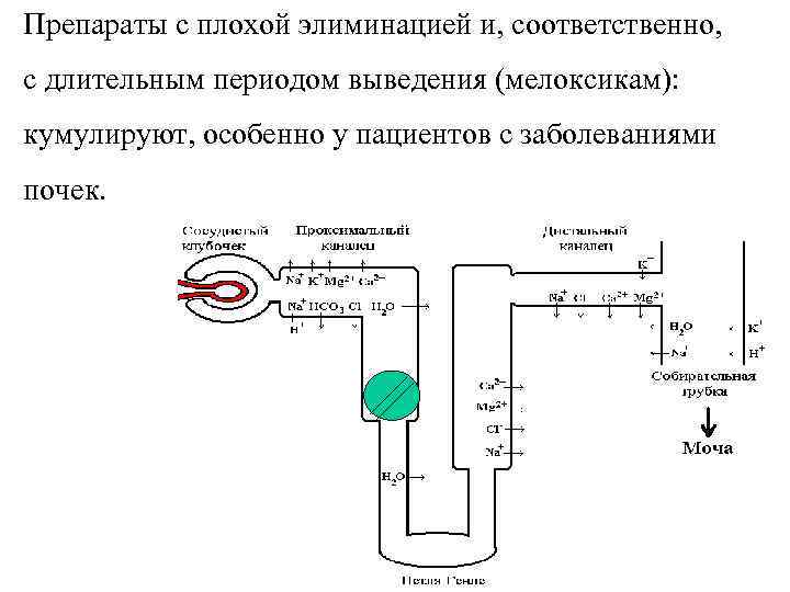 Препараты с плохой элиминацией и, соответственно, с длительным периодом выведения (мелоксикам): кумулируют, особенно у