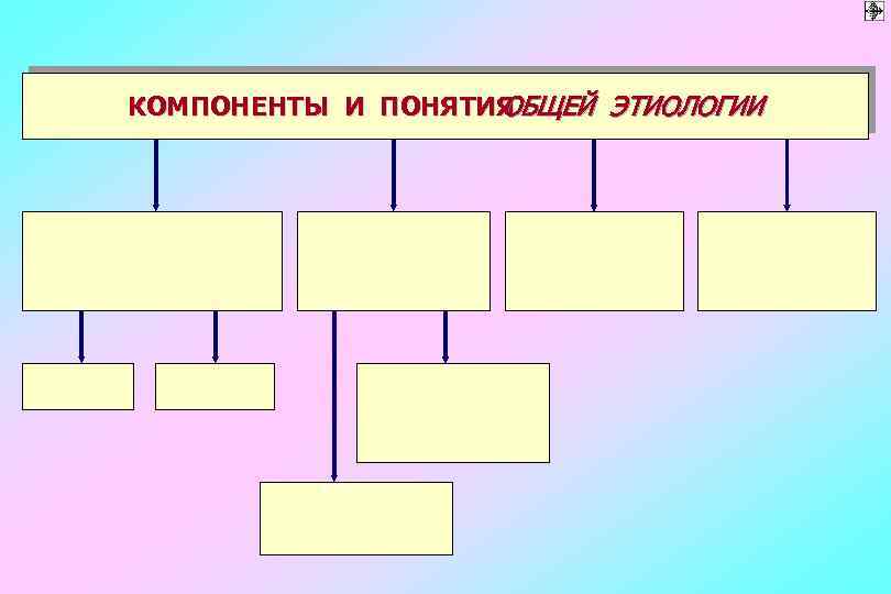     ОБЩЕЙ ЭТИОЛОГИИ КОМПОНЕНТЫ И ПОНЯТИЯ 