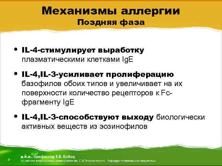 Механизмы аллергии Поздняя фаза • IL-4 -стимулирует выработку плазматическими клетками Ig. E • IL-4,