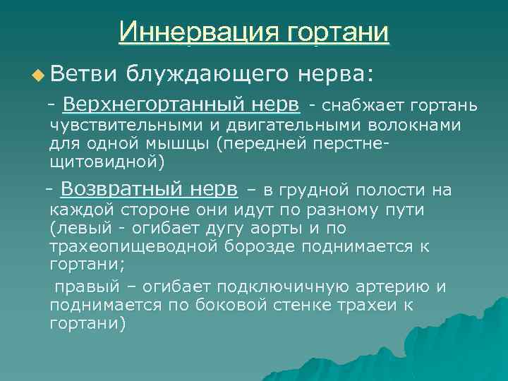 Иннервация гортани u Ветви блуждающего нерва: - Верхнегортанный нерв - снабжает гортань чувствительными и