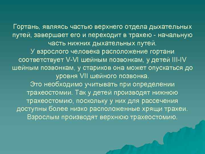 Гортань, являясь частью верхнего отдела дыхательных путей, завершает его и переходит в трахею -