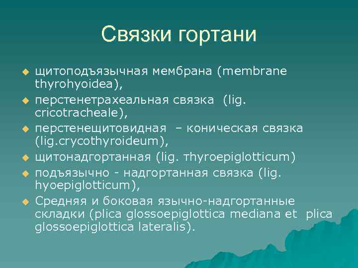 Связки гортани u u u щитоподъязычная мембрана (membrane thyrohyoidea), перстенетрахеальная связка (lig. cricotracheale), перстенещитовидная
