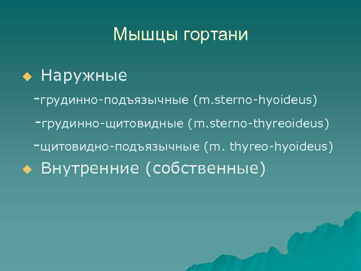 Мышцы гортани Наружные -грудинно-подъязычные (m. sterno-hyoideus) -грудинно-щитовидные (m. sterno-thyreoideus) -щитовидно-подъязычные (m. thyreo-hyoideus) u Внутренние