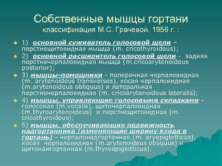 Собственные мышцы гортани классификация М. С. Грачевой, 1956 г. : u u u 1)