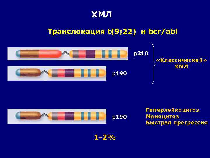 ХМЛ Транслокация t(9; 22) и bcr/abl p 210 «Классический» ХМЛ p 190 1 -2%