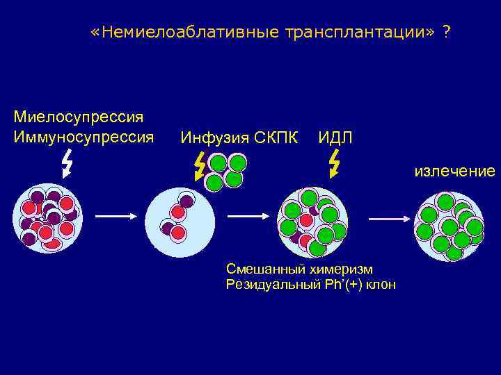  «Немиелоаблативные трансплантации» ? Миелосупрессия Иммуносупрессия Инфузия СКПК ИДЛ излечение Смешанный химеризм Резидуальный Ph’(+)