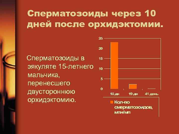 Сперматозоиды через 10 дней после орхидэктомии. Сперматозоиды в эякуляте 15 летнего мальчика, перенесшего двустороннюю