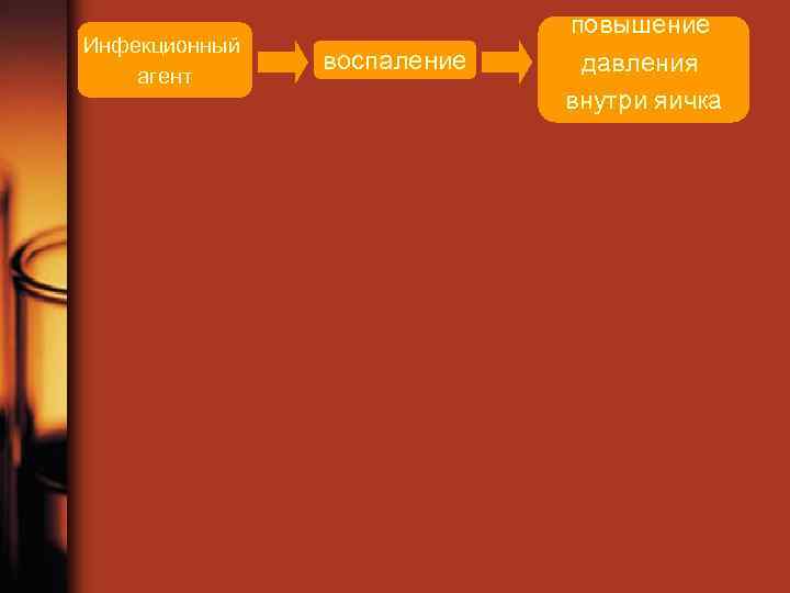 Инфекционный агент воспаление повышение давления внутри яичка 