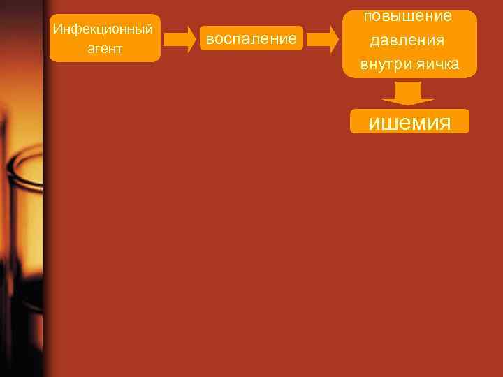 Инфекционный агент воспаление повышение давления внутри яичка ишемия 
