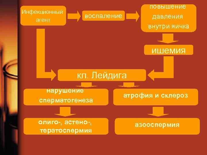 Инфекционный агент повышение давления внутри яичка воспаление ишемия кл. Лейдига нарушение сперматогенеза атрофия и