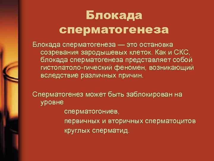 Блокада сперматогенеза — это остановка созревания зародышевых клеток. Как и СКС, блокада сперматогенеза представляет