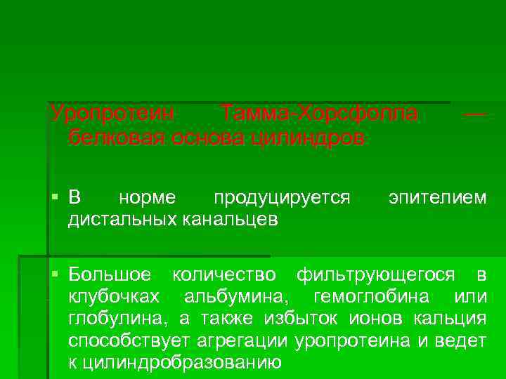 Уропротеин Тамма-Хорсфолла белковая основа цилиндров В норме продуцируется дистальных канальцев — эпителием Большое количество