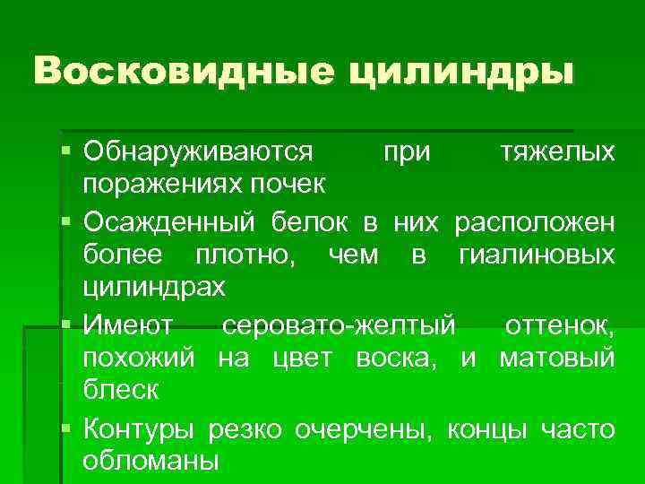 Восковидные цилиндры Обнаруживаются при тяжелых поражениях почек Осажденный белок в них расположен более плотно,
