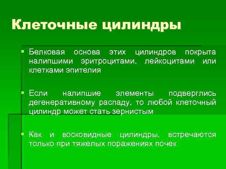Клеточные цилиндры Белковая основа этих цилиндров покрыта налипшими эритроцитами, лейкоцитами или клетками эпителия Если