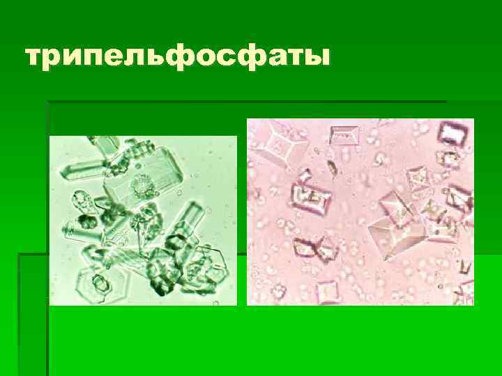 трипельфосфаты 