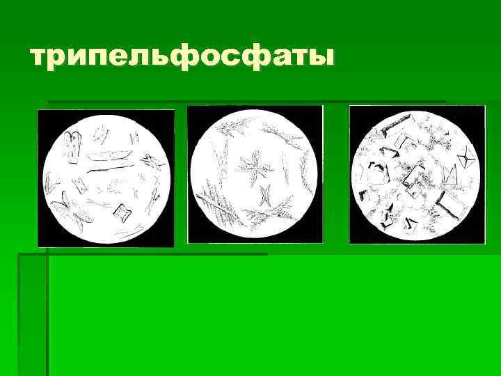 трипельфосфаты 