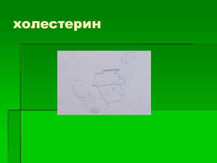 холестерин 