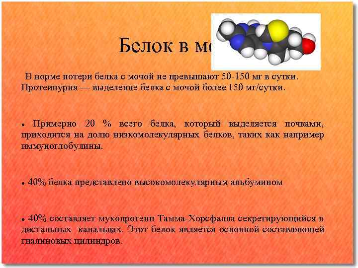 Белок в моче В норме потери белка с мочой не превышают 50 -150 мг